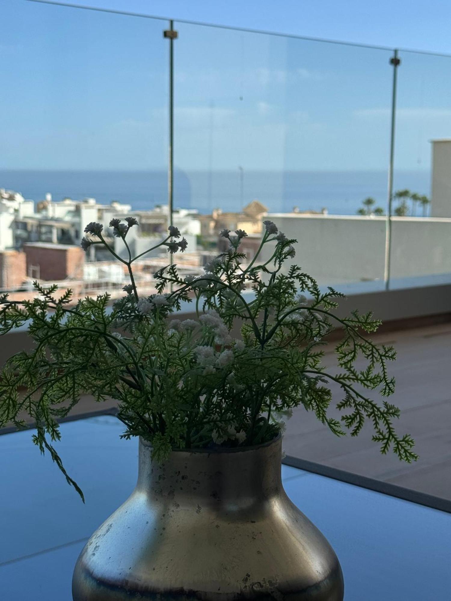 Casa Scenic Apartment *